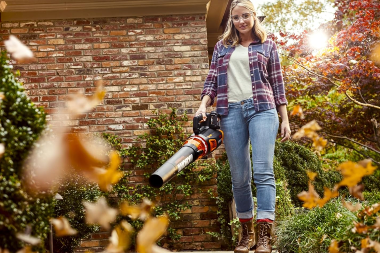 Amazon Slashes Prices on Leaf Blowers for Fall Cleanup by 50% Ahead of Black Friday, Worx