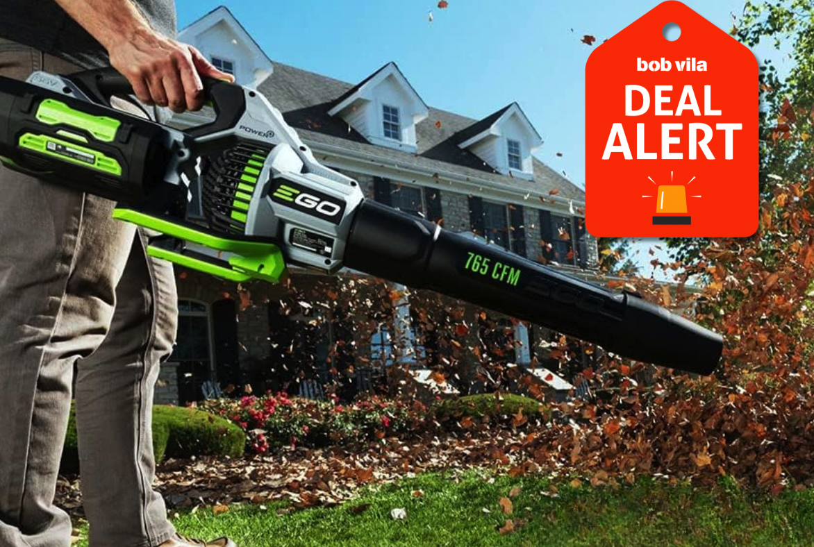 Amazon Slashes Prices on Leaf Blowers for Fall Cleanup by 50% Ahead of Black Friday
