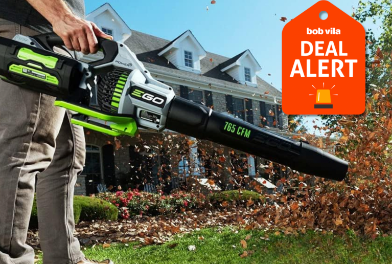 Amazon Slashes Prices on Leaf Blowers for Fall Cleanup by 50% Ahead of Black Friday