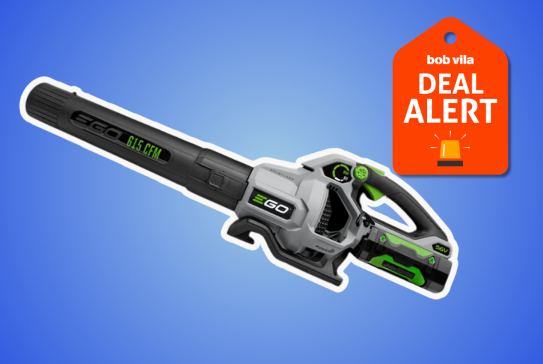 Ego Leaf Blower Marked Down at Amazon Ahead of Black Friday Sales