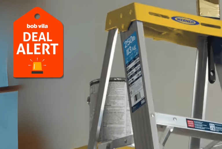 Home Depot Drops Werner Ladders to $59 Ahead of Black Friday Sales