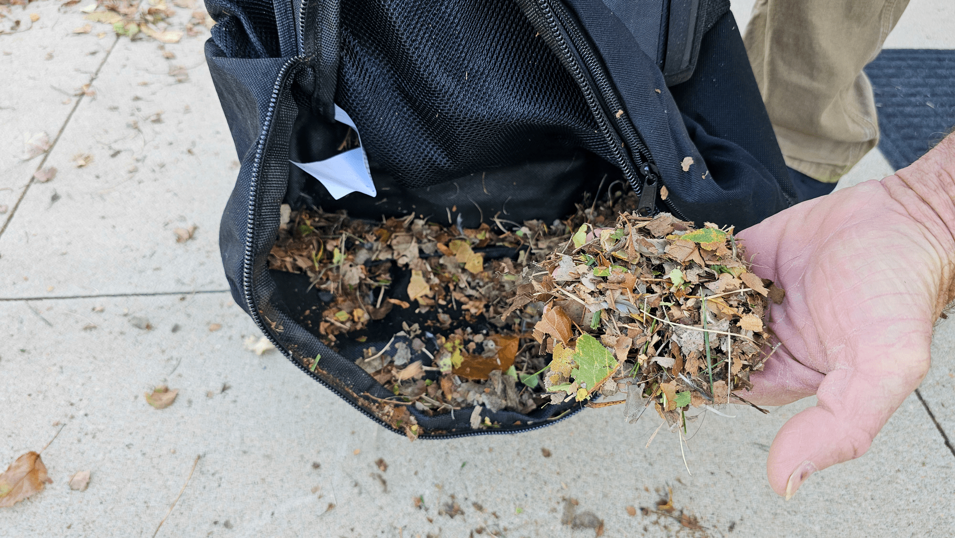 Size of shreds from Sun Joe