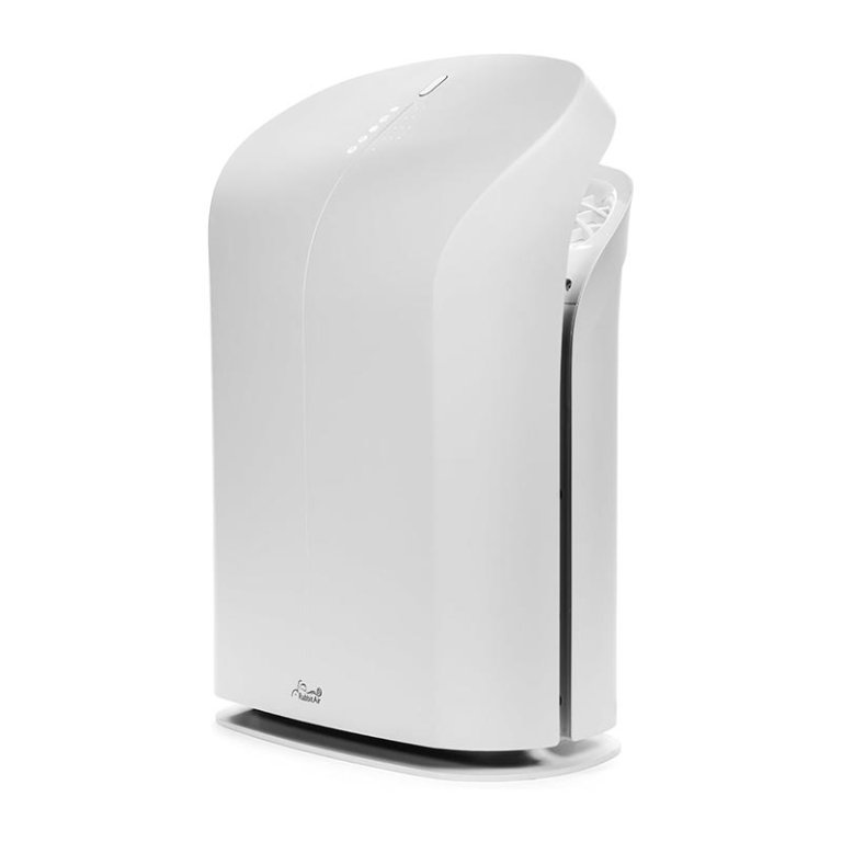 The Best Air Purifier Option Rabbit Air BioGS 2.0 Air Purifier