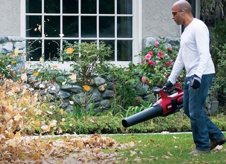 The Best Gifts for Yard Heroes Option Toro Flex-Force 60V MAX Cordless Leaf Blower