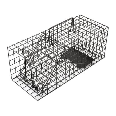 The Best Squirrel Traps Option Anyhall Live Animal Cage Trap