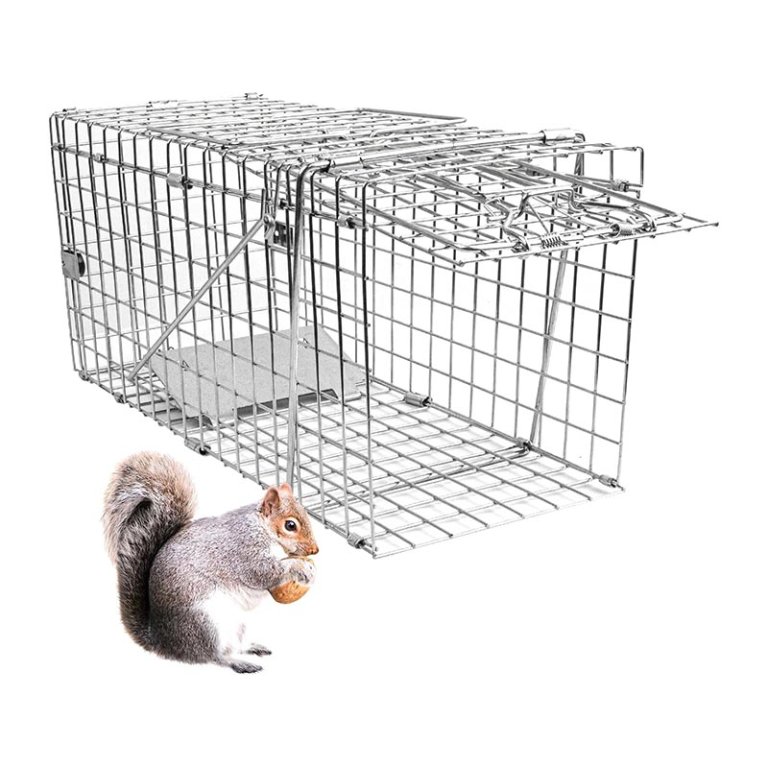 The Best Squirrel Traps Option Epestoec Heavy-Duty Humane Animal Cage Trap