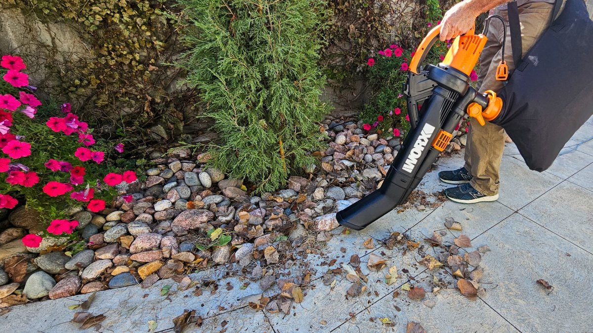 Worx leaf mulcher in use