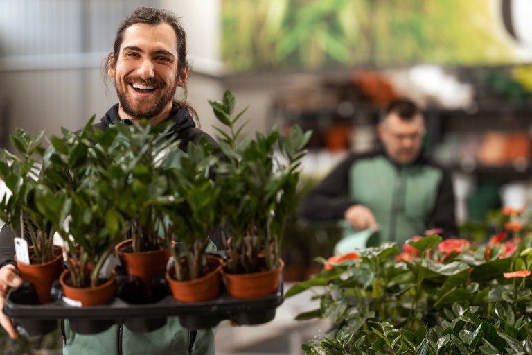 A man working in a houseplant nursery carrying a tray of new plants.