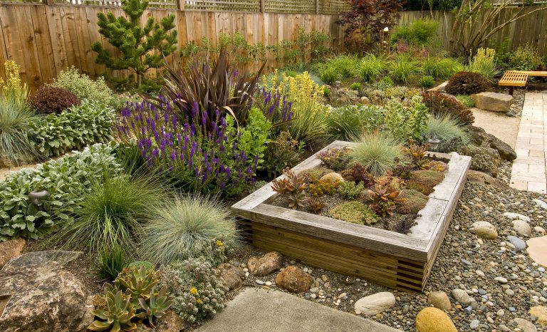 Backyard with modern landscaping and a raised bed with drought resistant plants.