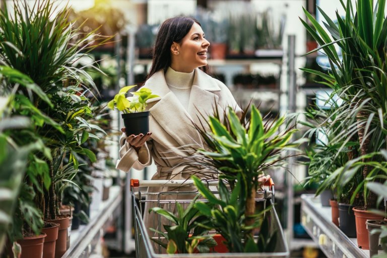 A person shopping for houseplants in Lowe's.