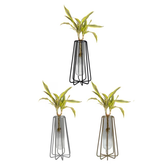 Three vases with houseplant cuttings.