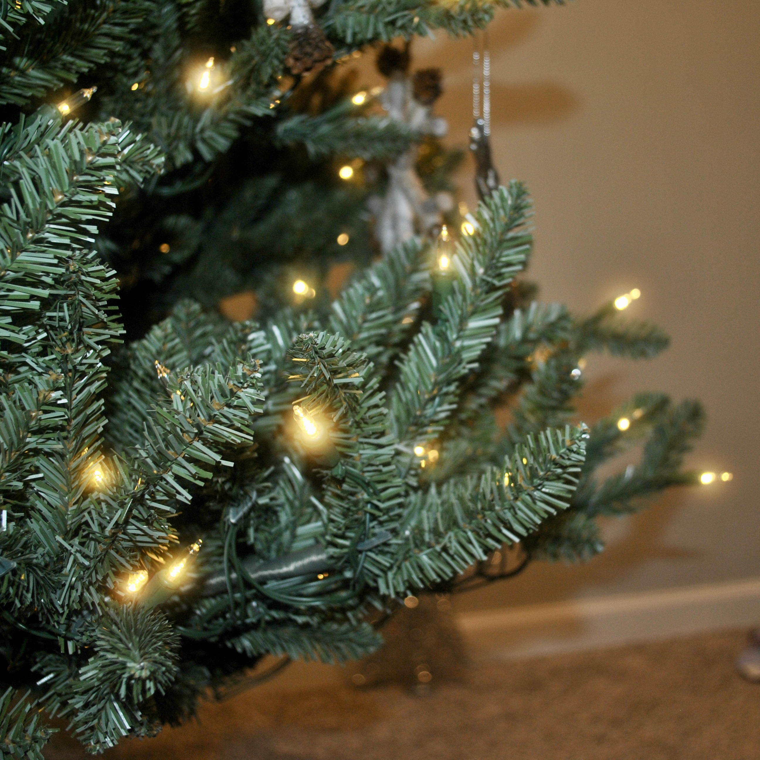 close up of balsam hill blue spruce