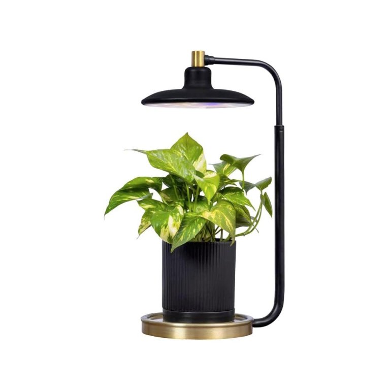 Best Gifts for Gardeners and Plant Lovers AeroGarden Tabletop Grow Light