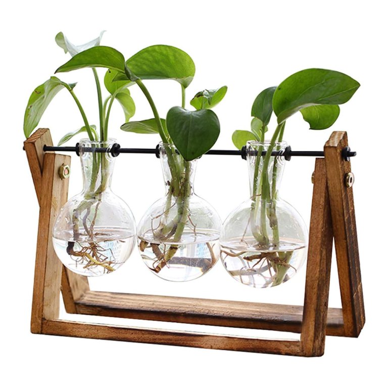 Best Gifts for Gardeners and Plant Lovers XXXFlower Plant Terrarium With Wooden Stand
