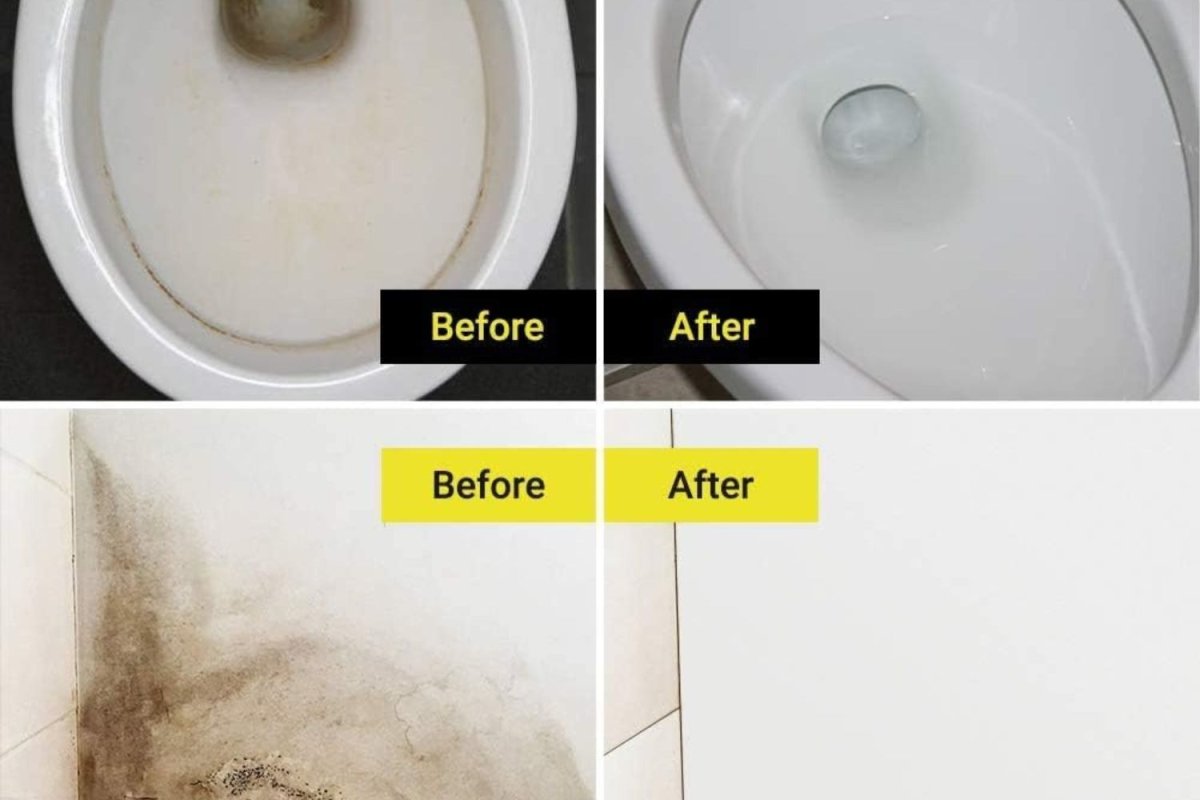 The Best Mold Removers Options