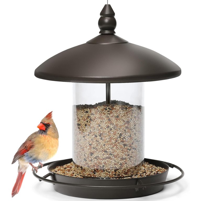 Youvip Bronze Roof Bird Feeder