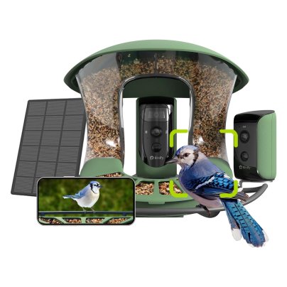 Birdfy’s New Dual-Camera Feeder