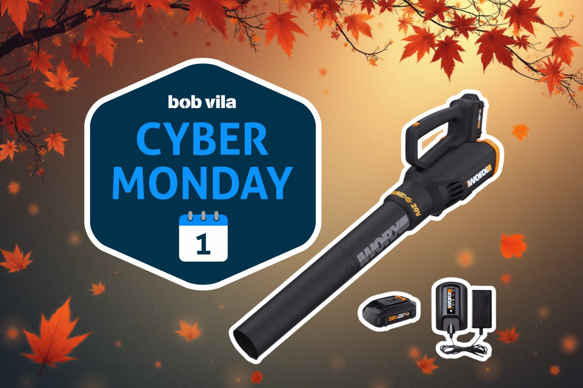 A Worx leaf blower, battery and charger on a brown/orange background with fall leaves