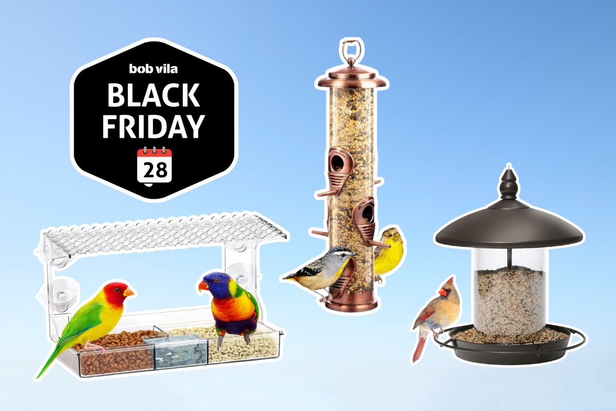 Early Black Friday Bird Feeder Deals