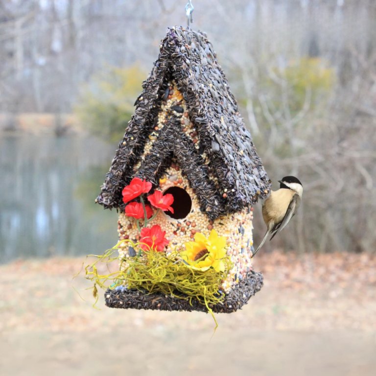 Handmade Wooden Birdhouse Covered W Birdseed - Ediblebirdhouse