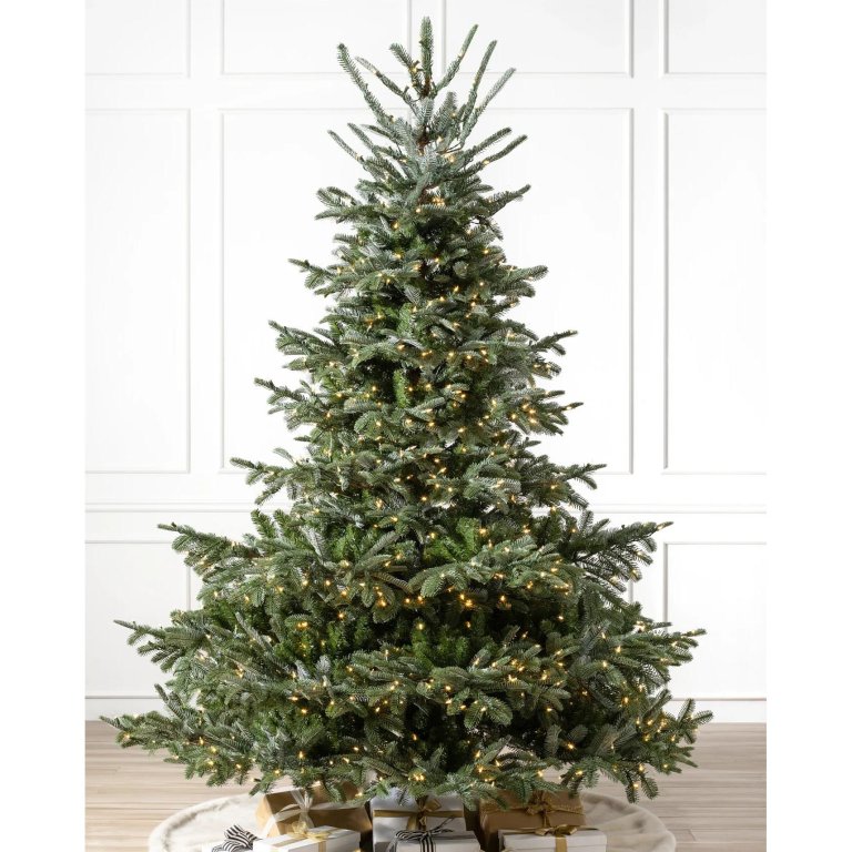 Our Favorite Balsam Hill Christmas Trees European Fir