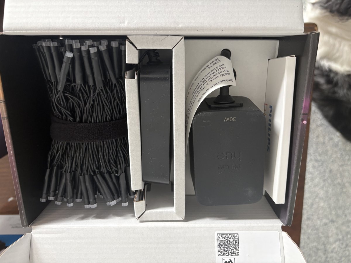 Philips Hue Festavia outdoor lights