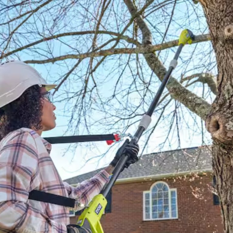Ryobi Pole Saw