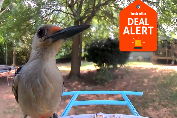 Birdfy Black Friday sale is live, save up to 56% off