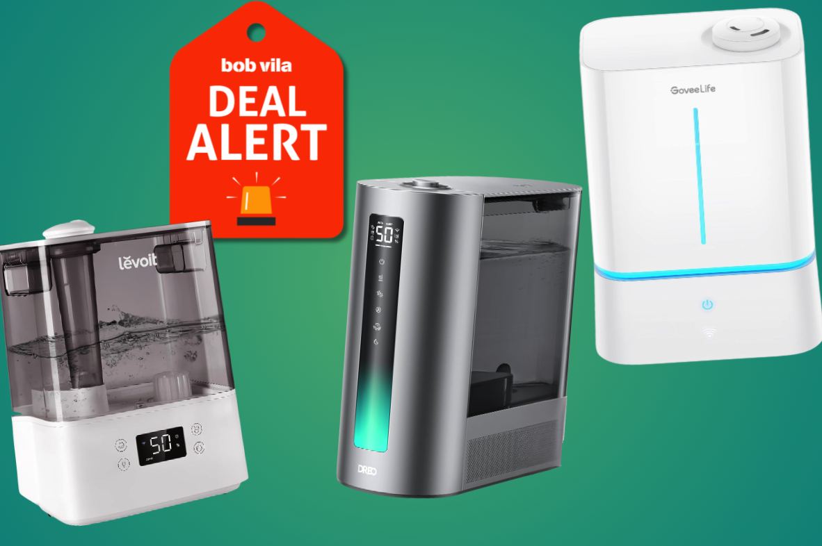 Amazon Has Humidifiers for Up to 75% Off Before Black Friday