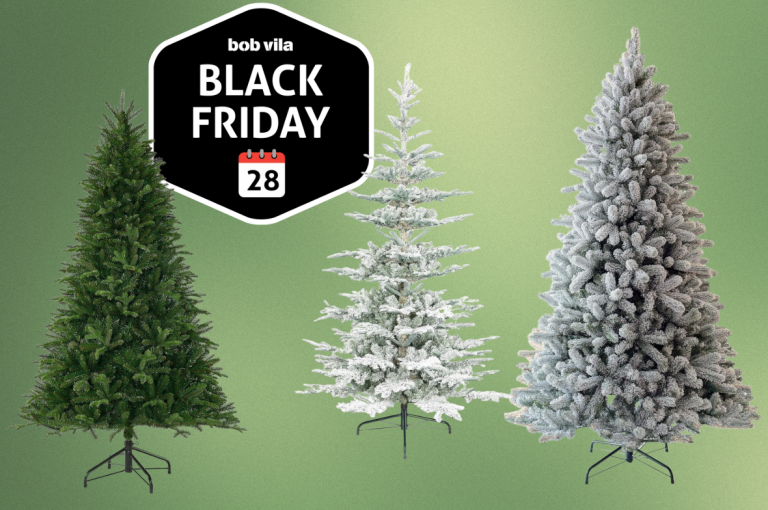 King of Christmas Trees Are 40% Off Ahead of Black Friday