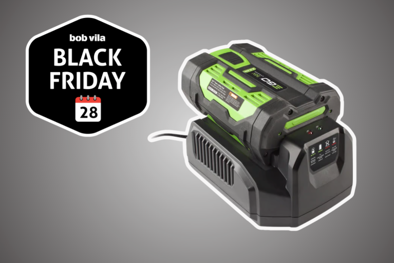 Amazon is Practically Giving Away Ego Battery Chargers—Now 85% Off