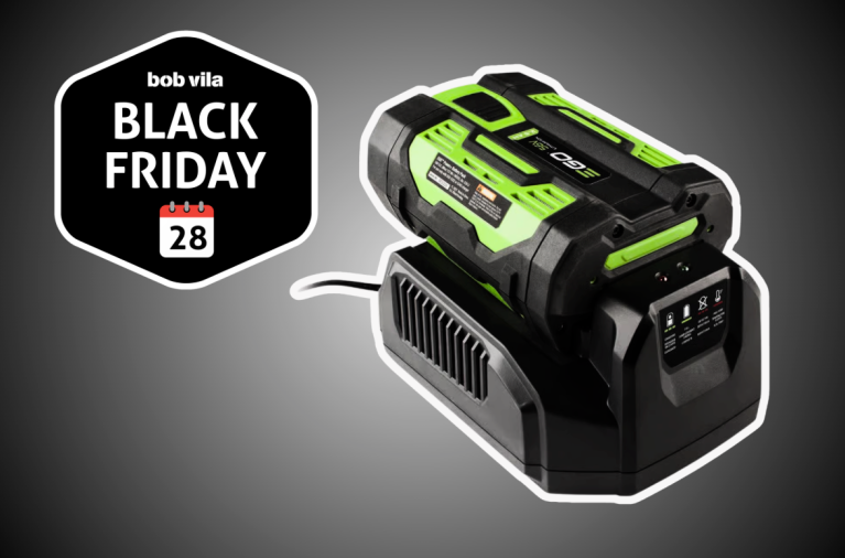 Amazon is Practically Giving Away Ego Battery Chargers—Now 85% Off