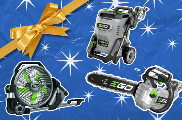 The Best Ego Gifts of 2025