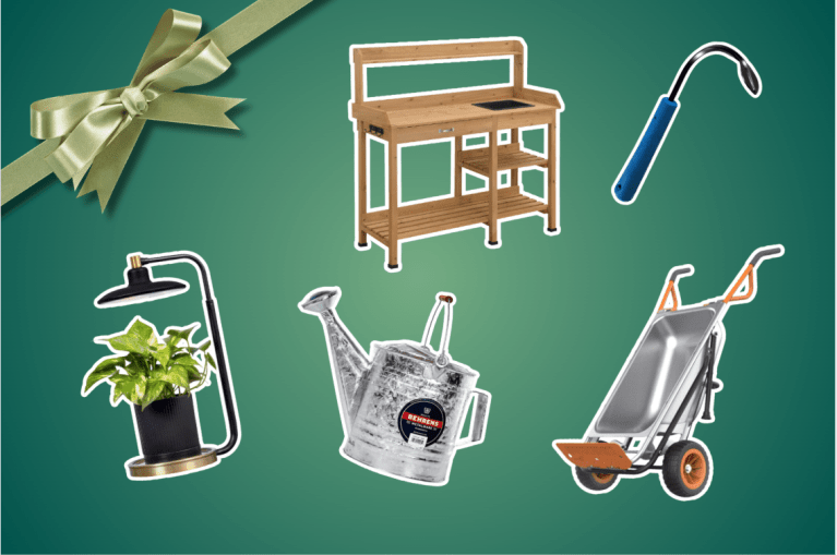 Best gifts for gardeners and plant lovers on a green background