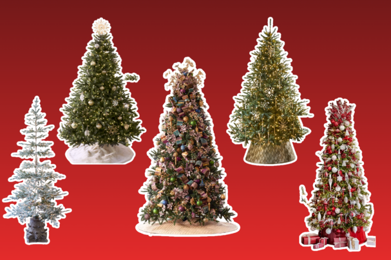 5 Balsam Hill Christmas Trees on a Red Background