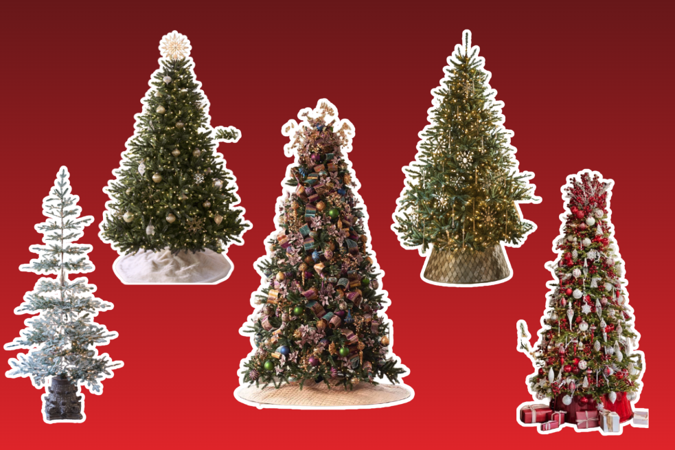 5 Balsam Hill Christmas Trees on a Red Background