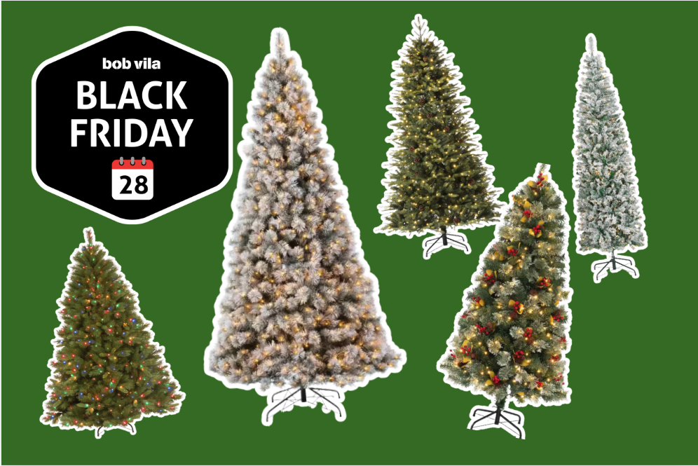 Black Friday Is the Best Time to Buy a Christmas Tree: Start at $41