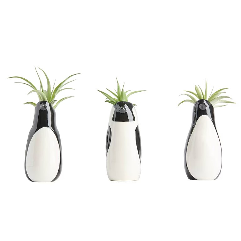 Three penguin planters with succulents.