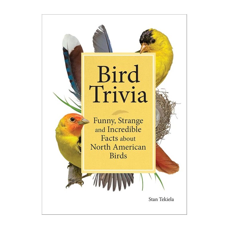 The Best Gifts for Bird Lovers Bird Trivia