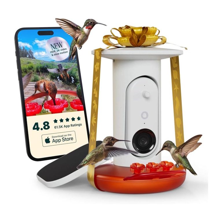 The Best Gifts for Bird Lovers Birdbuddy Smart Solar Pro Hummingbird Feeder