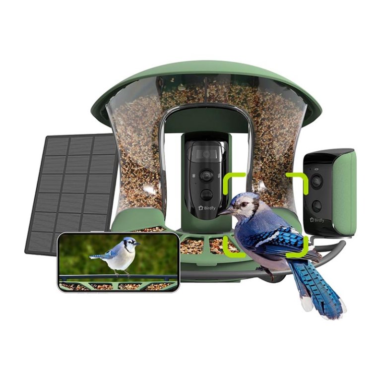 The Best Gifts for Bird Lovers Birdfy 2 Duo Smart Bird Feeder