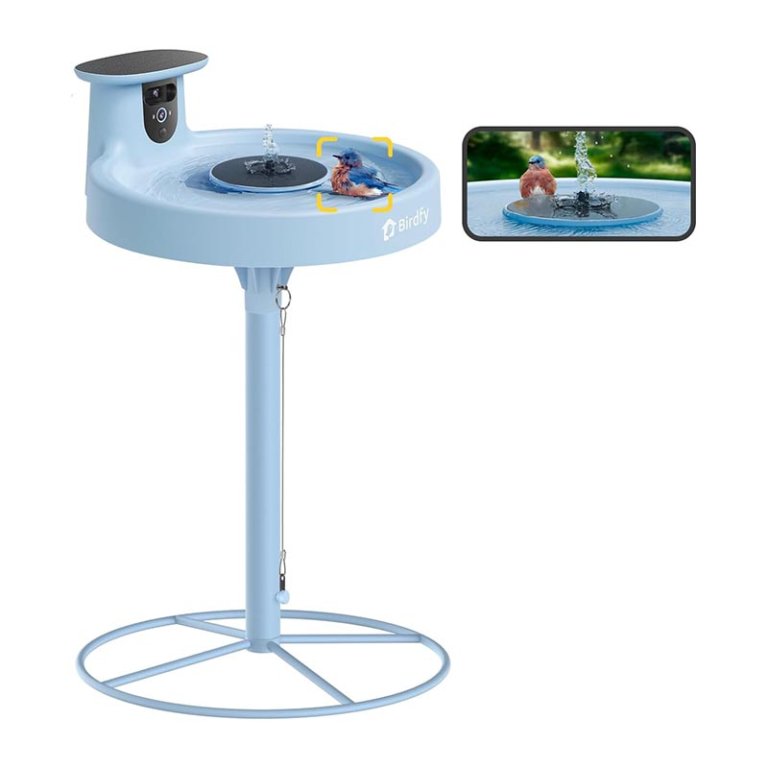 The Best Gifts for Bird Lovers Birdfy Smart Bird Bath