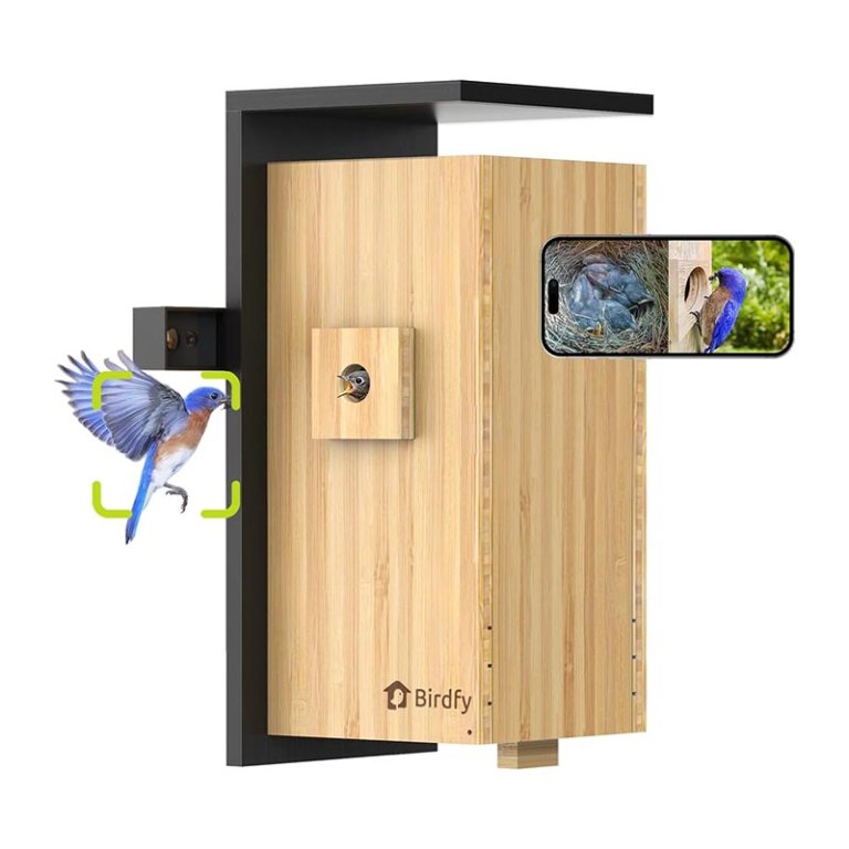 The Best Gifts for Bird Lovers Birdfy Smart Bird House