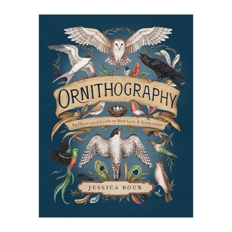 The Best Gifts for Bird Lovers Ornithography An Illustrated Guide to Bird Lore & Symbolism