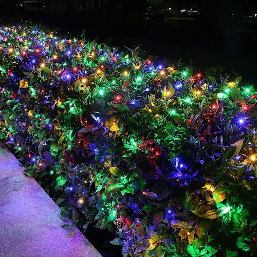 Multicolored Lomotech LED net lights on a row of shrubbery.