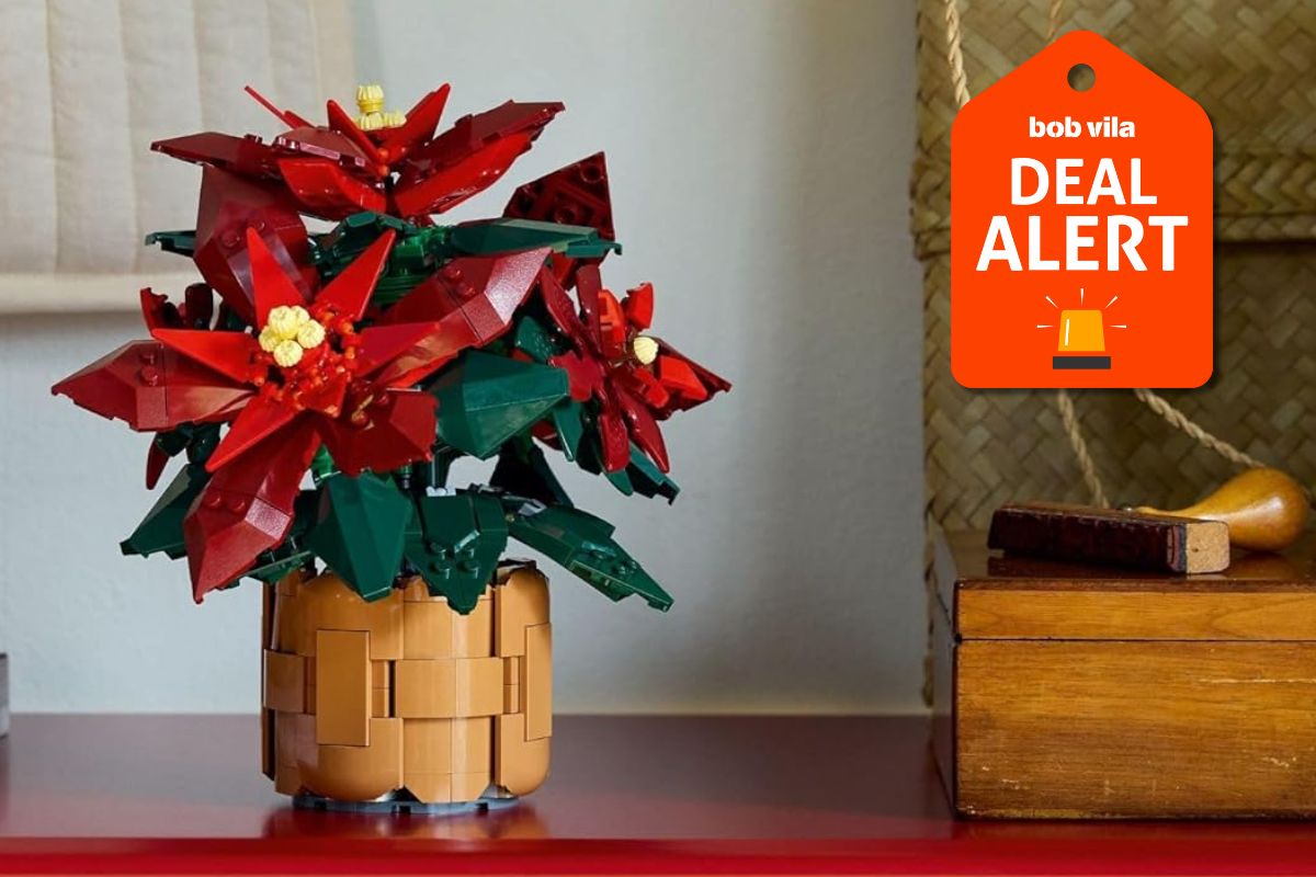 Amazon Slashes Lego Sets Up to 50% Off for Holiday Shopping: Unique Gifts for DIYers, Gardeners, and More