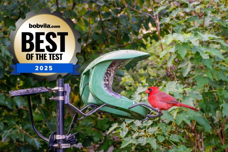 Best of the Test Power and Tech includes Birdfy Feeder 2 Duo