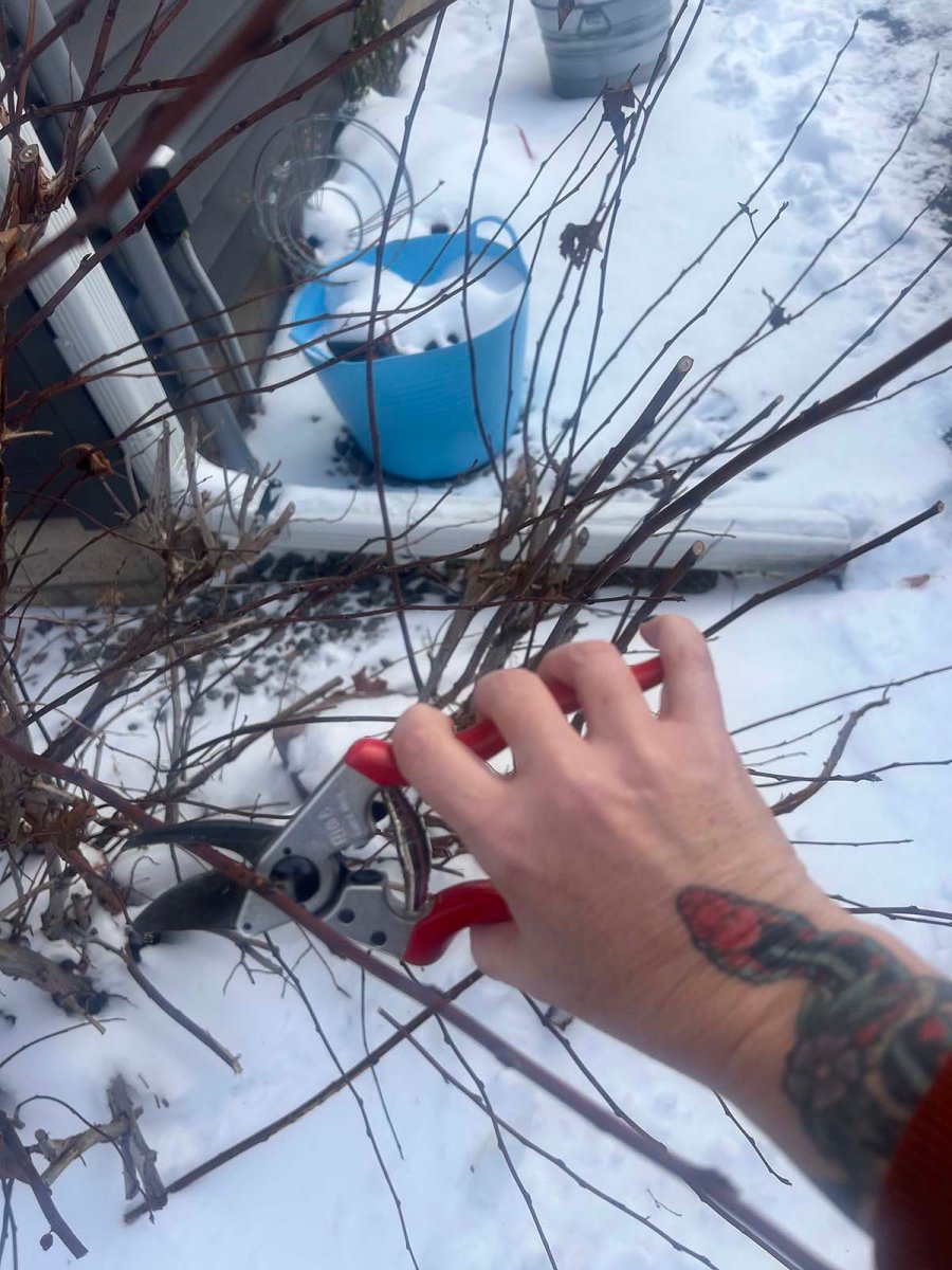 Felco 6 outside action too