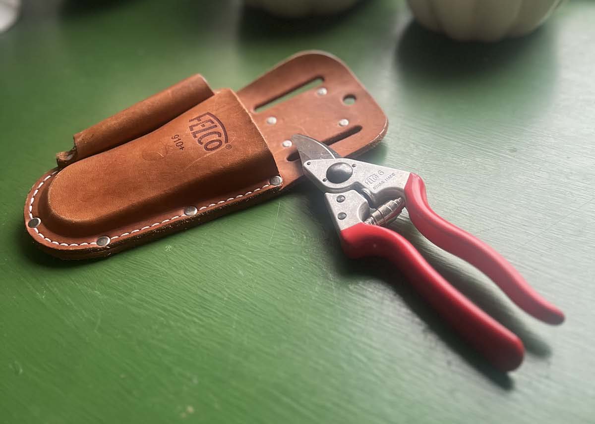 Felco Pruners next to holster