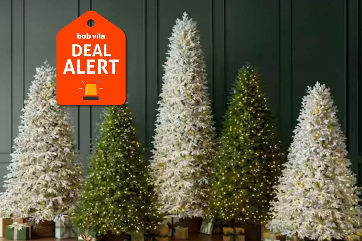 Home Depot Drops Christmas Trees to Clearance Level Prices: Save Over 40% With Prices Starting at $29